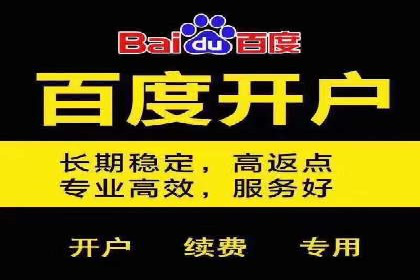 案例展示：SEM推广助力品牌知名度提升